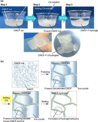  Japonica Cellulose: Biodegradable Material for Sustainable Packaging and Tissue Engineering!