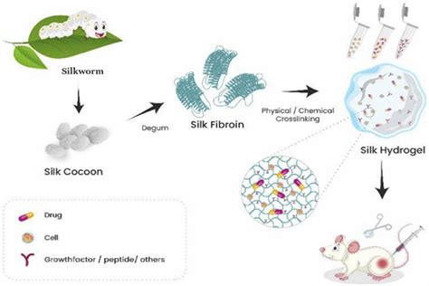  Silk Fibroin: ยกระดับอุตสาหกรรมชีวภาพด้วยเส้นใยแห่งความมหัศจรรย์!