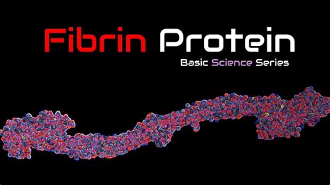  Fibrin: โปรตีนธรรมชาติจากเลือดที่ปฏิวัติวงการแพทย์และชีววิศวกรรม!